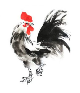 Chinese Rooster